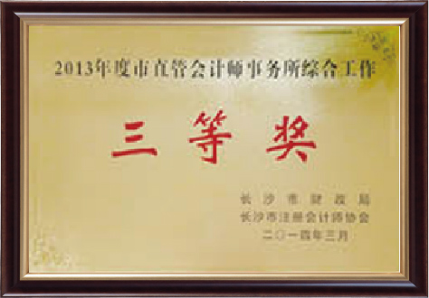 市直管會計師事務(wù)所綜合工作三等獎